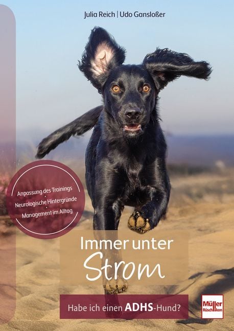 Produktbild: Immer unter Strom