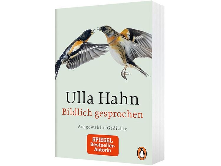Produktbild: Bildlich gesprochen