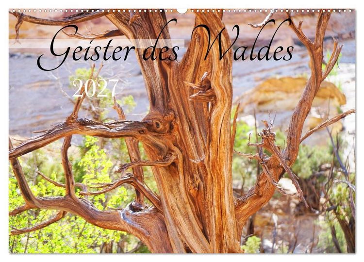 Produktbild: Geisterb&auml;ume (Wandkalender 2027 DIN A2 quer), CALVENDO Monatskalender