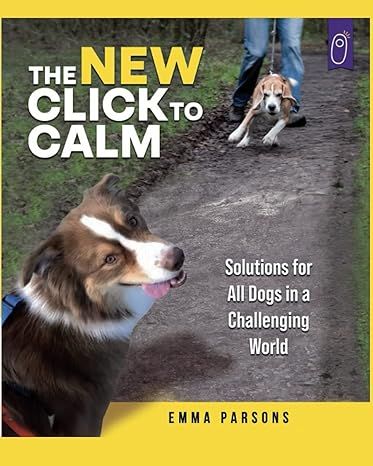 Produktbild: The New Click to Calm