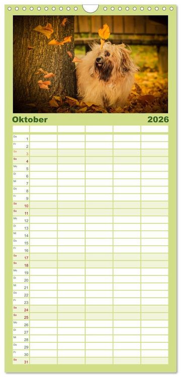 Produktbild: Familienplaner 2026 - Havaneser - Wirbelwinde aus Kuba mit 5 Spalten (Wandkalender, 21 x 45 cm) CALVENDO