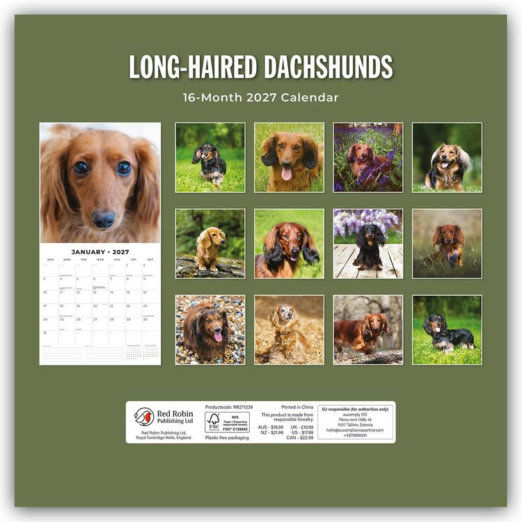 Produktbild: Long-Haired Dachshunds &ndash; Langhaardackel 2027 &ndash; 16-Monatskalender