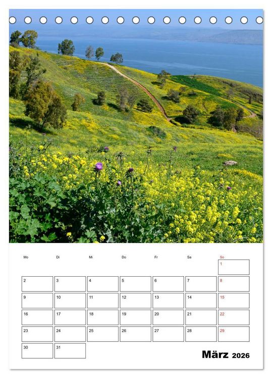 Produktbild: Israel - Der Monatsplaner 2026 (Tischkalender 2026 DIN A5 hoch), CALVENDO Monatskalender