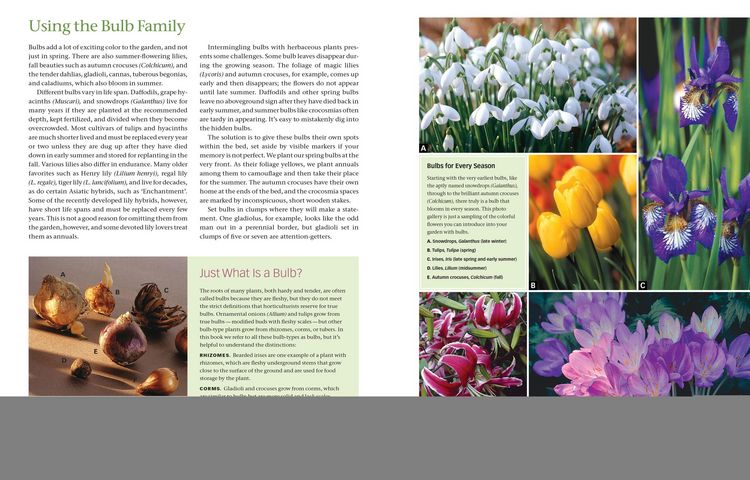 Produktbild: The Flower Gardener's Bible