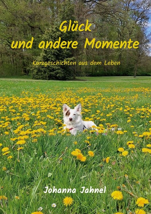 Produktbild: Gl&uuml;ck und andere Momente