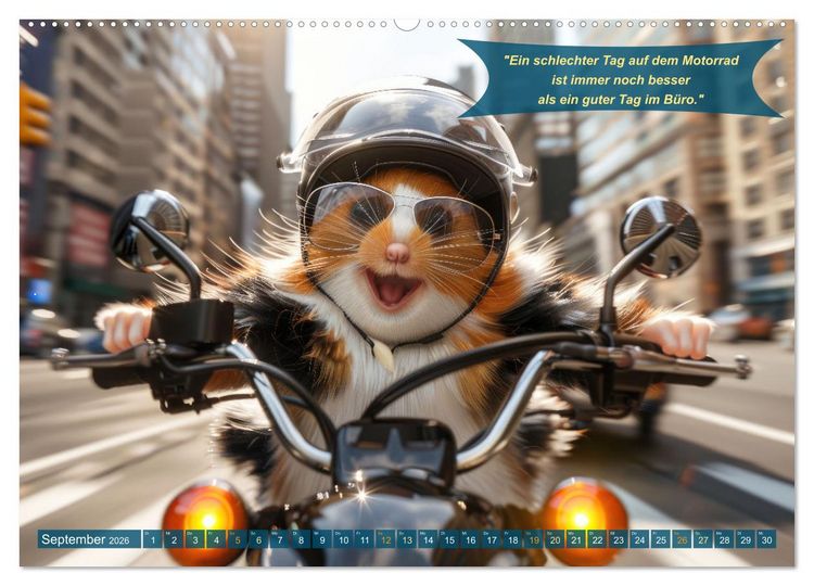 Produktbild: Tierisch lustige Motorradfahrer (Wandkalender 2026 DIN A2 quer), CALVENDO Monatskalender
