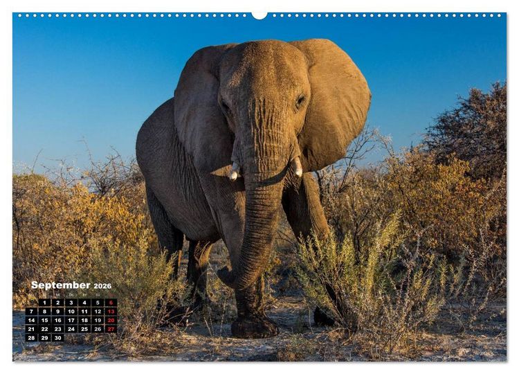 Produktbild: Blickpunkte in Namibia (hochwertiger Premium Wandkalender 2026 DIN A2 quer), Kunstdruck in Hochglanz