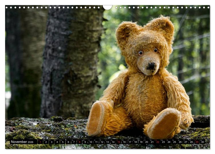 Produktbild: Neue Abenteuer von Teddy Basse (Wandkalender 2026 DIN A3 quer), CALVENDO Monatskalender