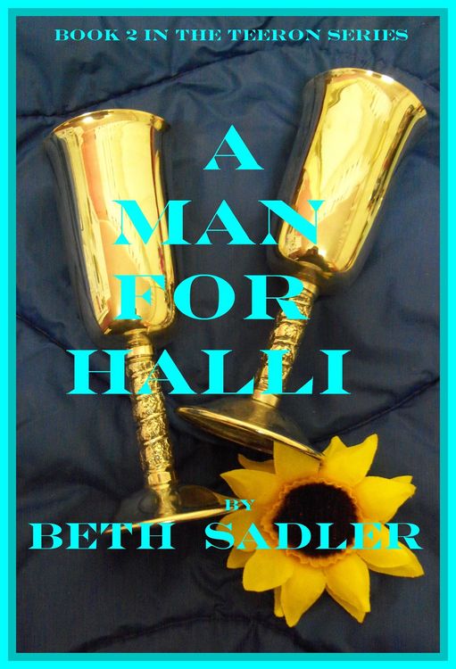 Produktbild: A Man for Halli (Teeron, #2)