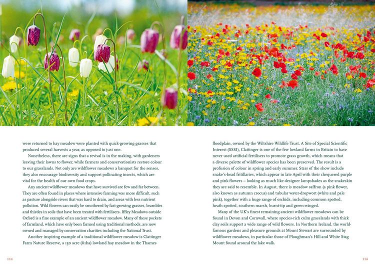 Produktbild: The Nature Lover's Bucket List