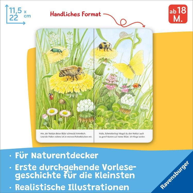 Produktbild: Ich bin die kleine Biene