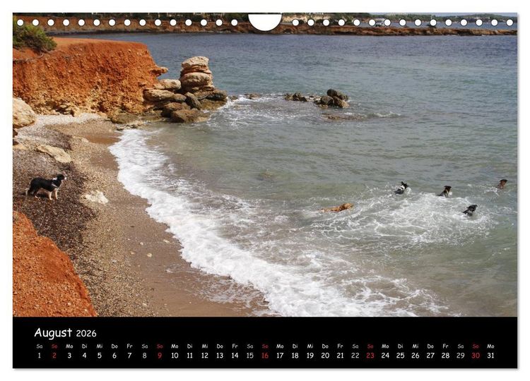 Produktbild: Zauberhaftes Ibiza (Wandkalender 2026 DIN A4 quer), CALVENDO Monatskalender