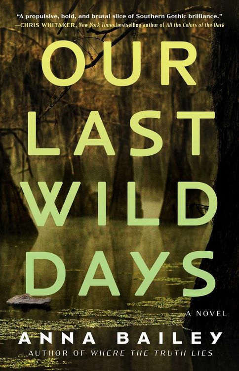 Produktbild: Our Last Wild Days