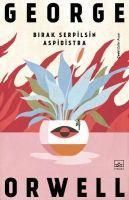 Produktbild: Birak Serpilsin Aspidistra