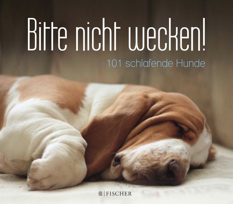Produktbild: Bitte nicht wecken!