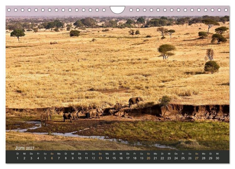 Produktbild: Elefanten (Wandkalender 2027 DIN A4 quer), CALVENDO Monatskalender