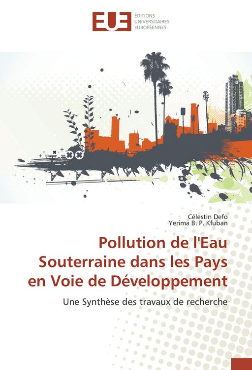 Produktbild: Pollution de l'Eau Souterraine dans les Pays en Voie de D&eacute;veloppement