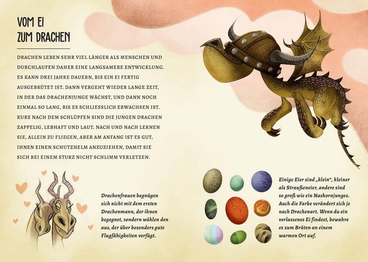 Produktbild: Drachen