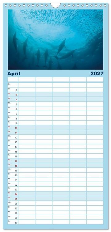 Produktbild: Familienplaner 2027 - Delfine: Elegante Wellenreiter mit 5 Spalten (Wandkalender, 21 x 45 cm) CALVENDO