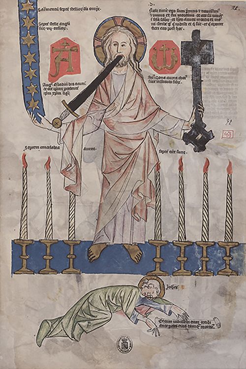 Produktbild: Biblia Pauperum. Apocalypsis. Die Weimarer Handschrift.