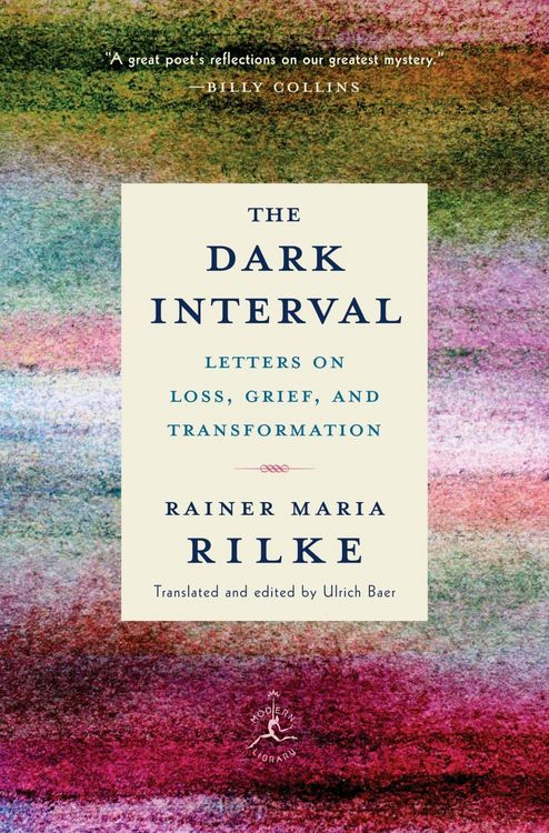 Produktbild: The Dark Interval
