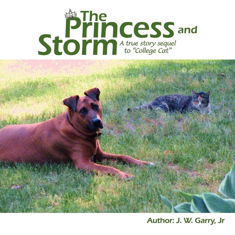 Produktbild: The Princess and Storm