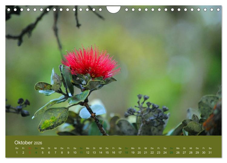 Produktbild: Hawaii Paradies auf Erden (Wandkalender 2026 DIN A4 quer), CALVENDO Monatskalender