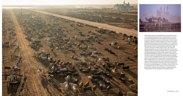 Produktbild: Feed the Planet