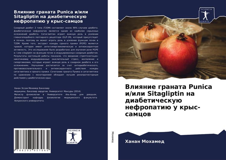 Produktbild: Vliqnie granata Punica i/ili Sitagliptin na diabetichesku&uuml; nefropati&uuml; u krys-samcow