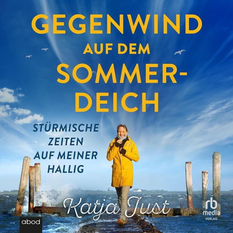 Produktbild: Gegenwind auf dem Sommerdeich