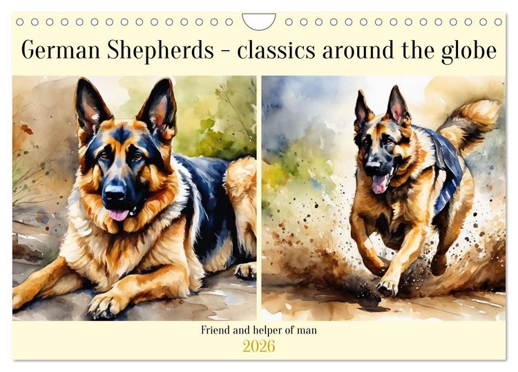 Produktbild: German Shepherds - classics around the globe (Wall Calendar 2026 DIN A4 landscape), CALVENDO 12 Month Wall Calendar