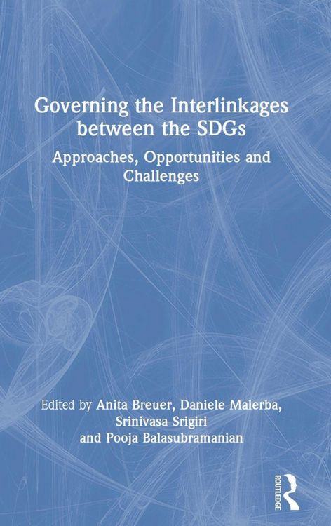 Produktbild: Governing the Interlinkages between the SDGs