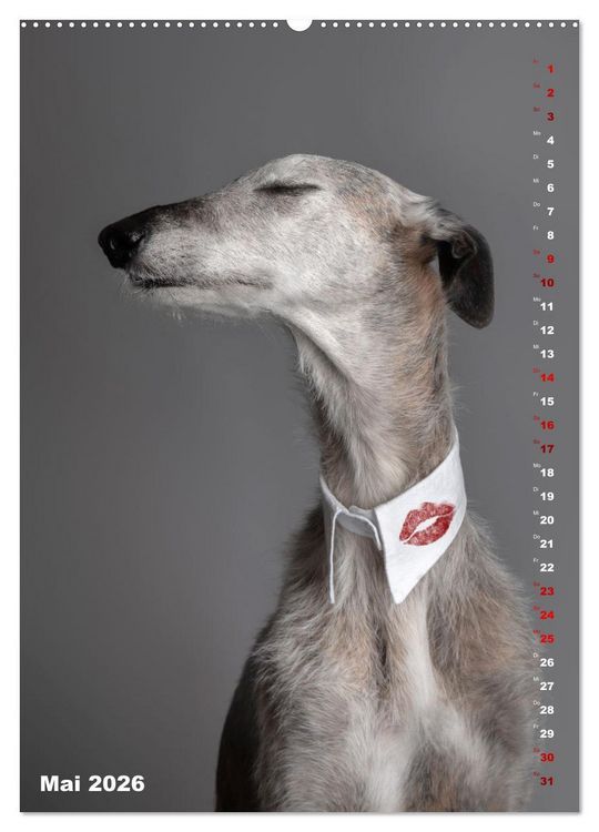 Produktbild: dogmuse deluxe (hochwertiger Premium Wandkalender 2026 DIN A2 hoch), Kunstdruck in Hochglanz