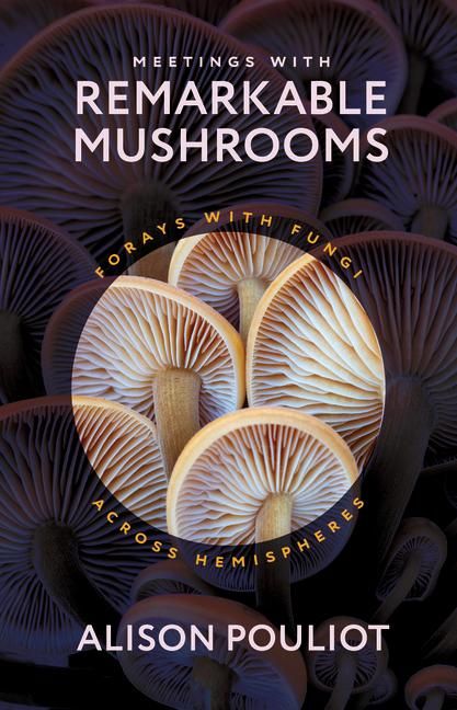 Produktbild: Meetings with Remarkable Mushrooms