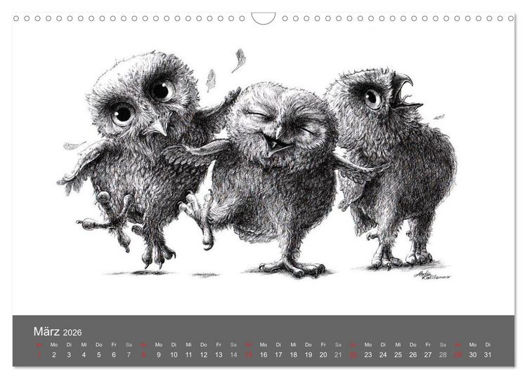 Produktbild: owls & friends 2026 (Wandkalender 2026 DIN A3 quer), CALVENDO Monatskalender