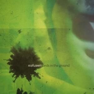 Produktbild: Birds in the Ground