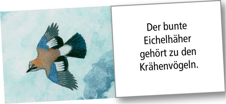 Produktbild: Wand-Adventskalender &ndash; Wintertiere bei Nacht