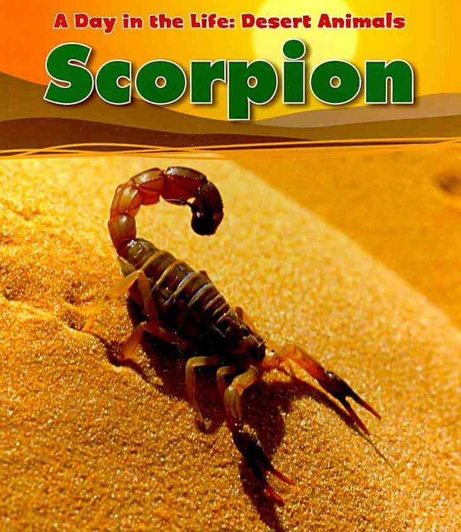 Produktbild: Scorpion