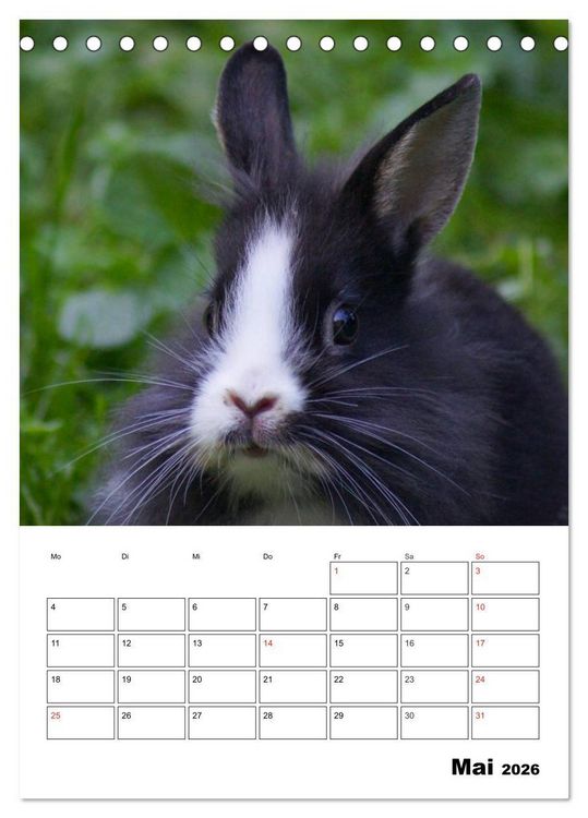Produktbild: Kaninchen Terminplaner (Tischkalender 2026 DIN A5 hoch), CALVENDO Monatskalender