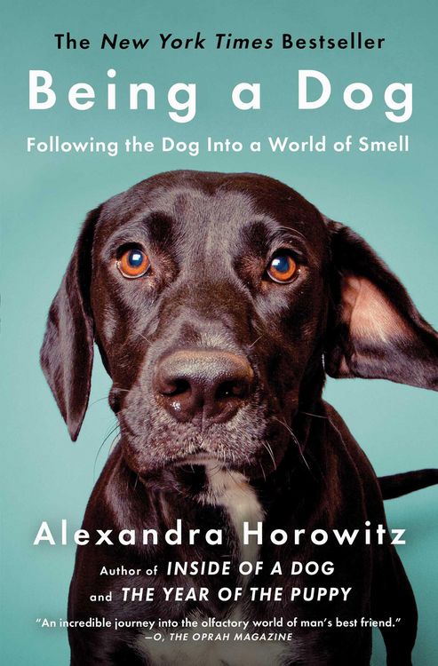 Produktbild: Being a Dog