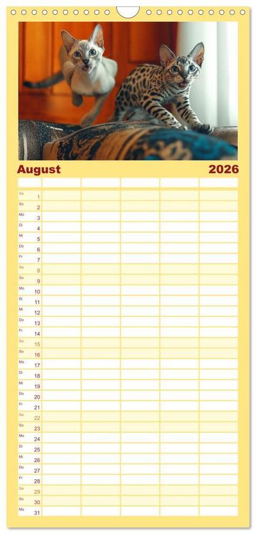Produktbild: Familienplaner 2026 - Momente eines Katzenbesitzers - Chaos der Samtpfoten mit 5 Spalten (Wandkalender, 21 x 45 cm) CALVENDO