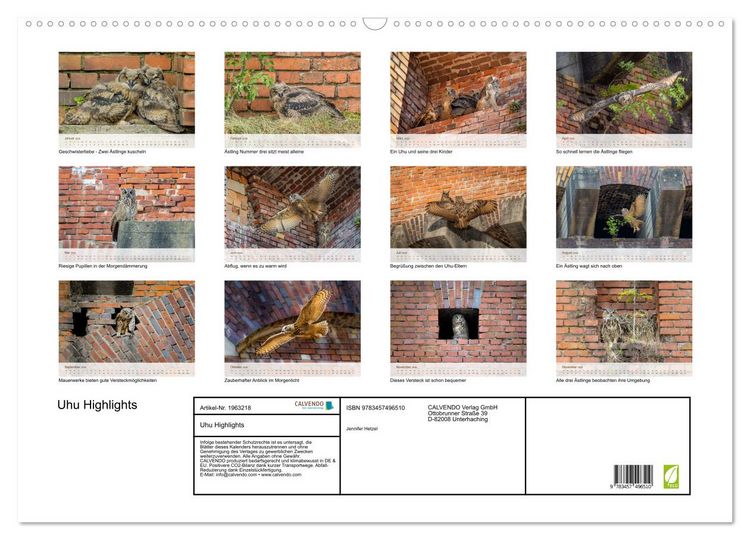 Produktbild: Uhu Highlights (Wandkalender 2026 DIN A2 quer), CALVENDO Monatskalender