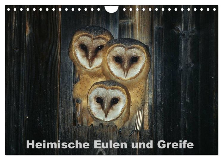 Produktbild: Heimische Eulen und Greife (Wandkalender 2026 DIN A4 quer), CALVENDO Monatskalender