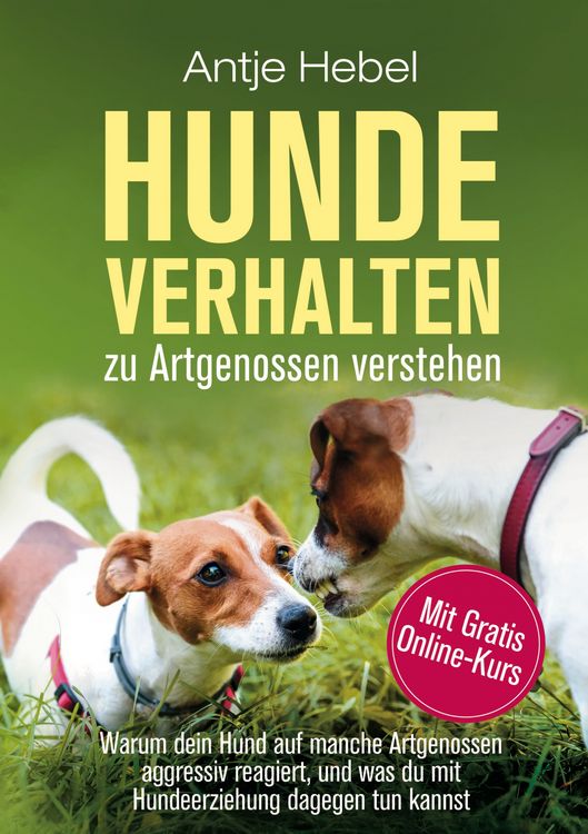 Produktbild: Hundeverhalten zu Artgenossen verstehen