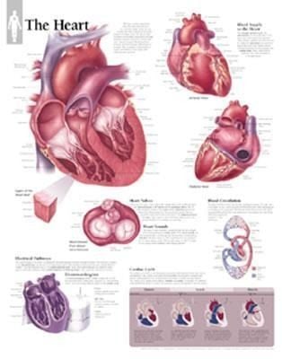 Produktbild: Heart Chart