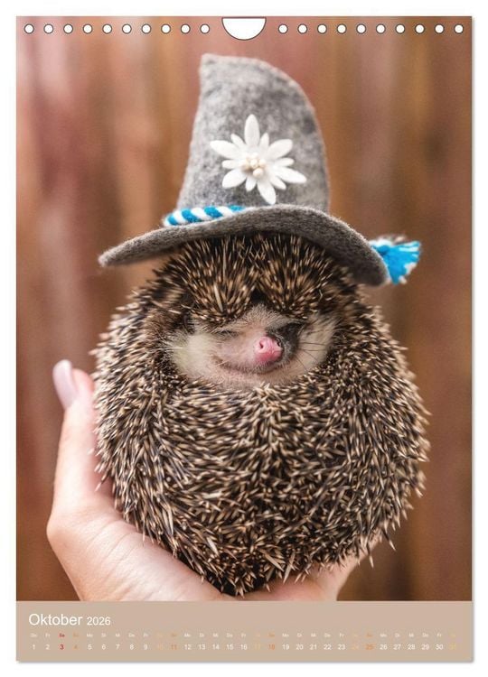 Produktbild: Gilbert der Igel (Wandkalender 2026 DIN A4 hoch), CALVENDO Monatskalender