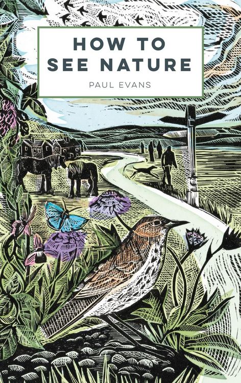Produktbild: How to See Nature