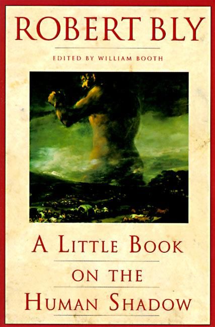 Produktbild: A Little Book on the Human Shadow