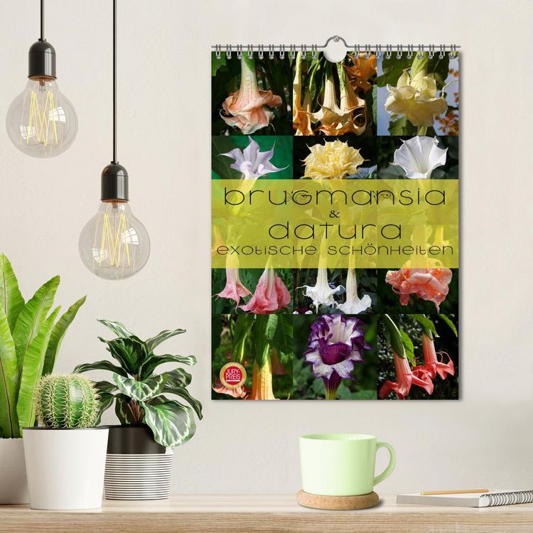 Produktbild: Brugmansia & Datura - Exotische Sch&ouml;nheiten (Wandkalender 2026 DIN A4 hoch), CALVENDO Monatskalender