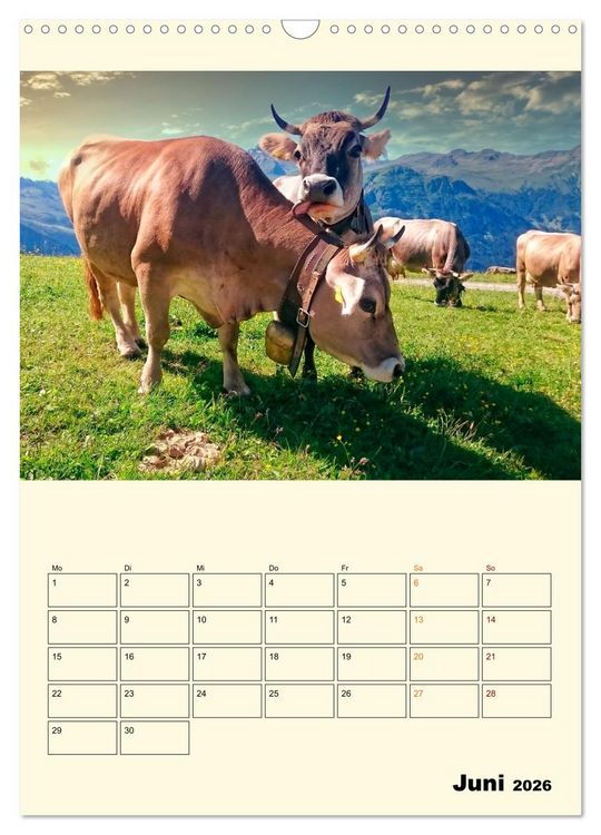 Produktbild: Gl&uuml;ckliche Bergk&uuml;he (Wandkalender 2026 DIN A3 hoch), CALVENDO Monatskalender